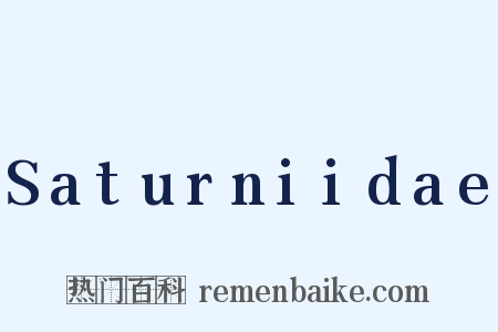 Saturniidae是什么意思的图片